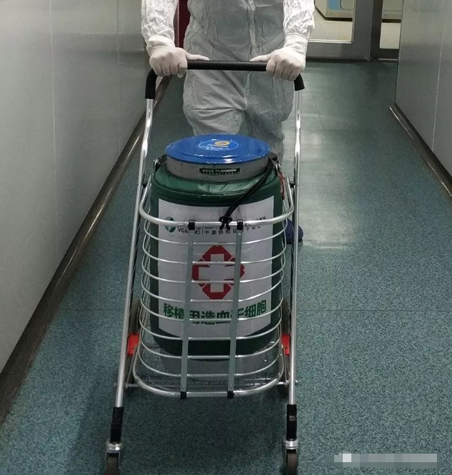 細(xì)胞運(yùn)輸